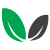 Atsalakis_Leaves-symbol